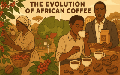 The Evolution of African Coffee: From Colonial Crop to Global Powerhouse